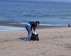 Ульяновцы очищают от мусора волжские берега
